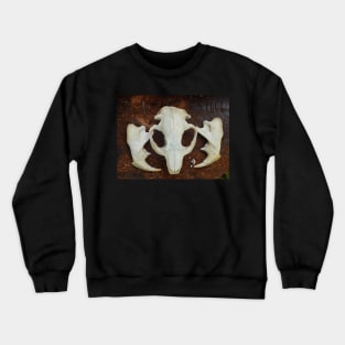 Aquatic Bones Crewneck Sweatshirt